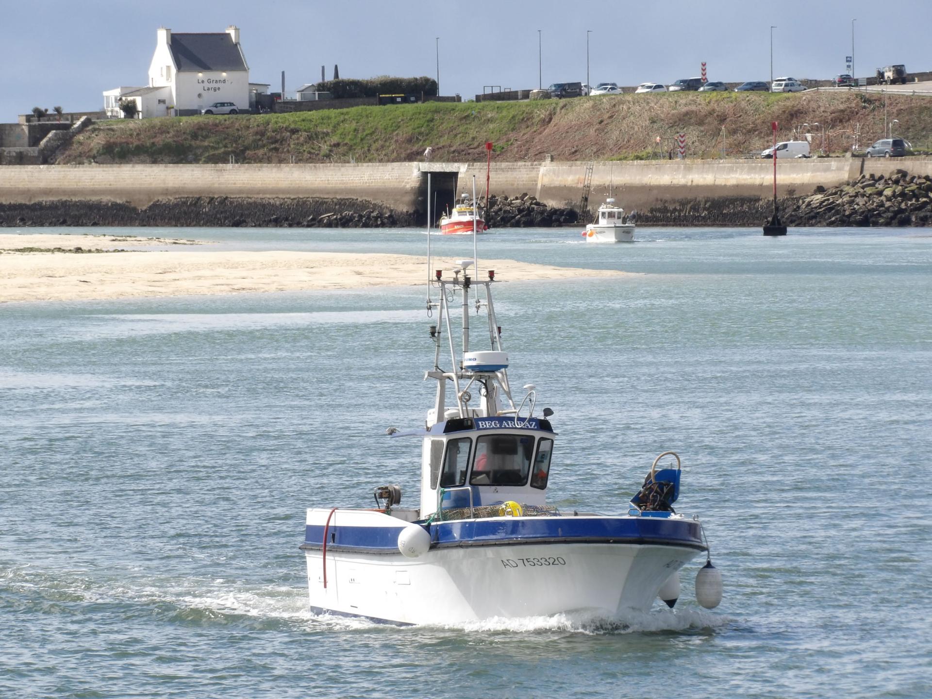 260401 beg ar raz criee d