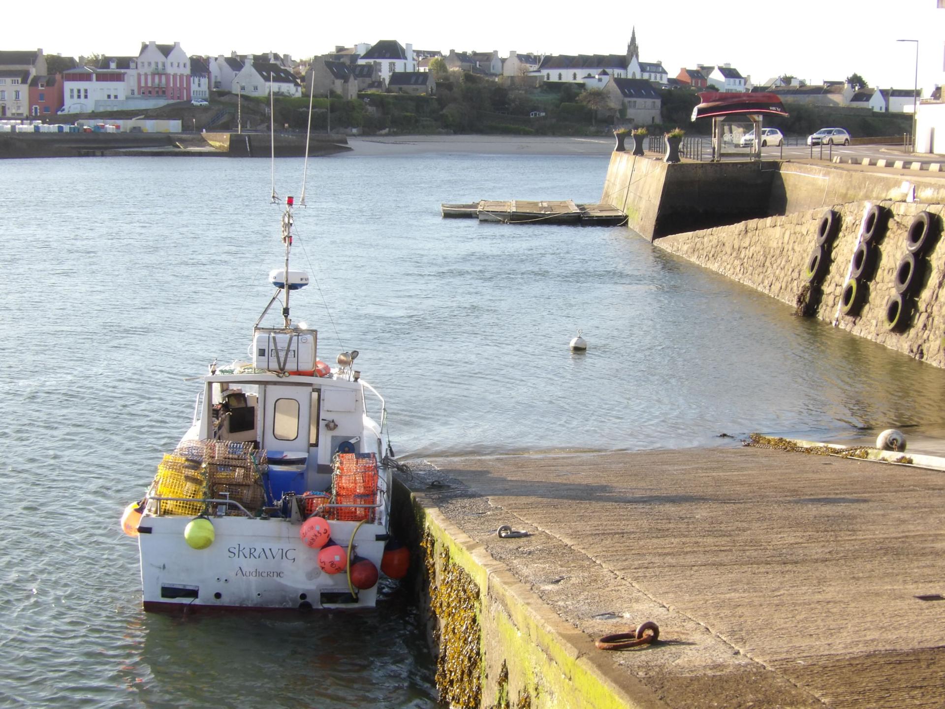 260402 skravig cale a